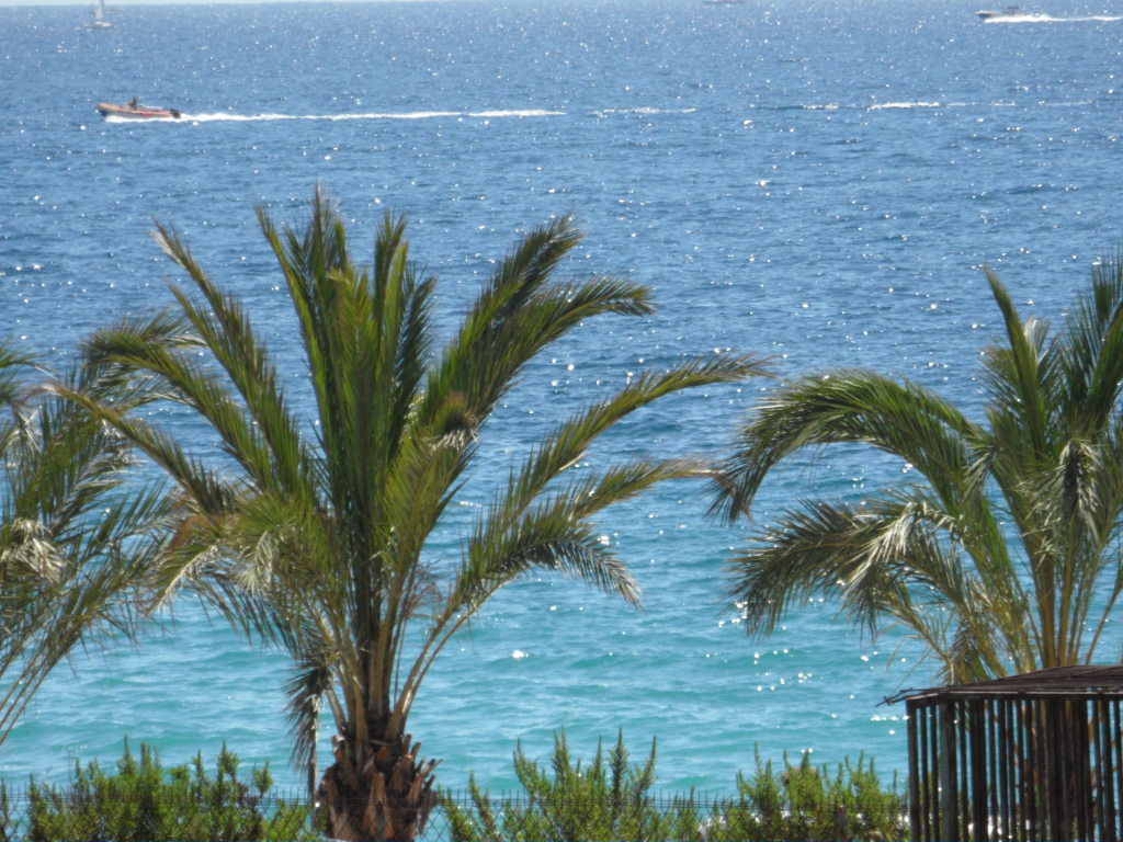 ICI A CANNES